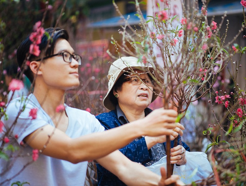 Đào Nhật Tân bung hoa xuống phố